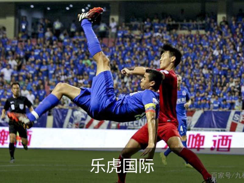乐虎国际品牌故事
