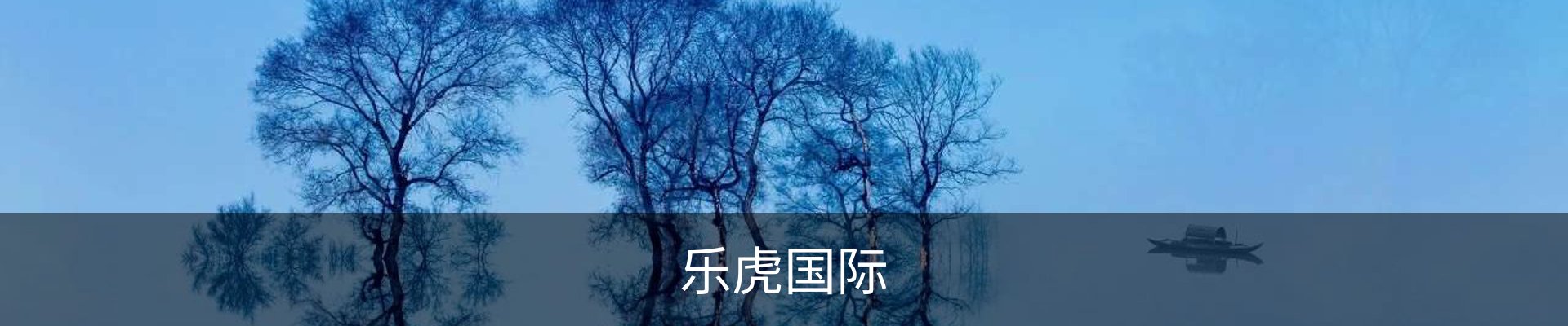 乐虎国际