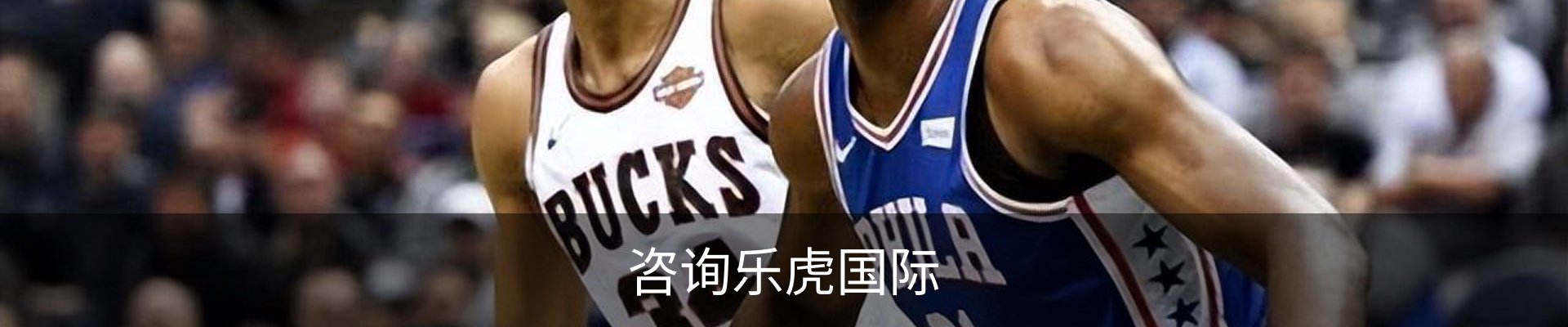 咨询乐虎国际